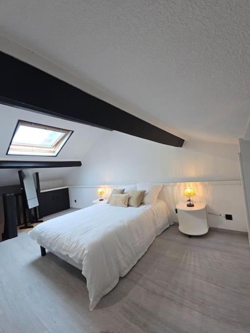 T2 En Duplex La Verpilliere